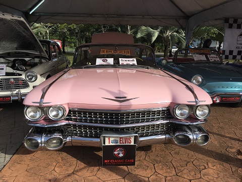 MY Classic Cars at All Car Nation